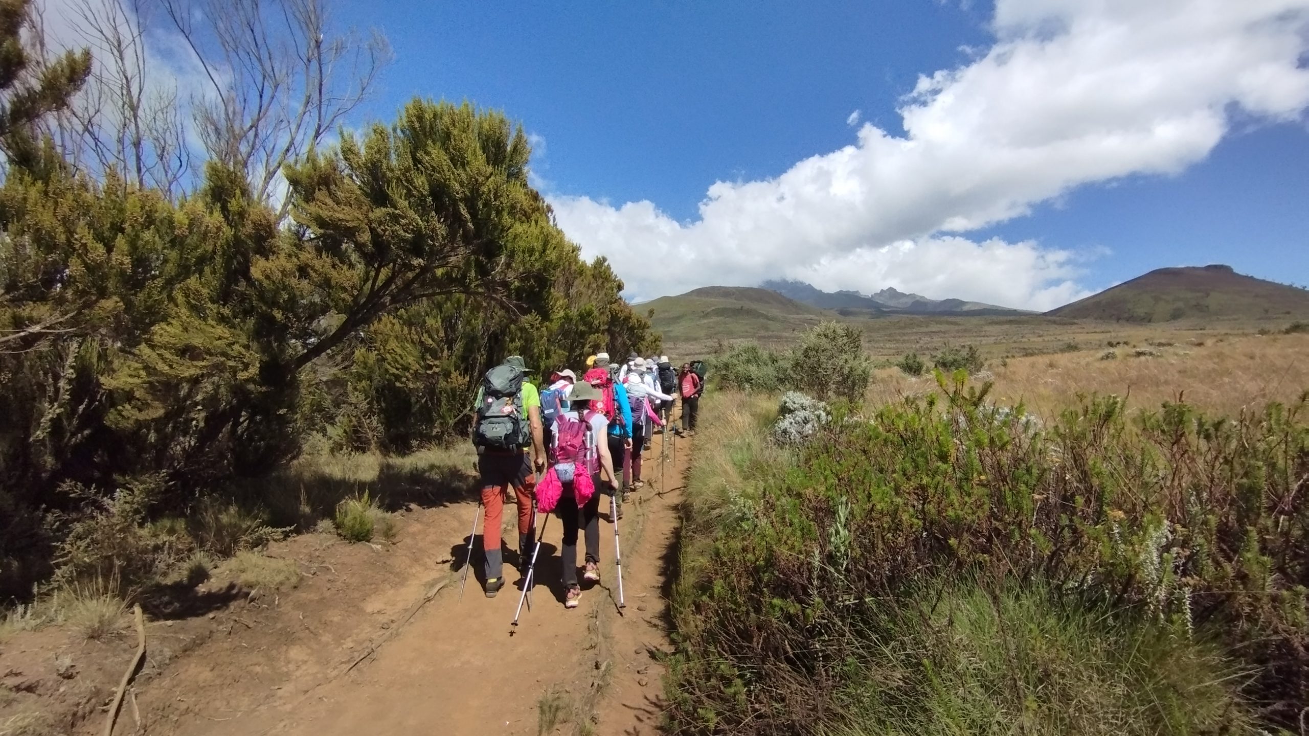 Na putu do Horombo koliba