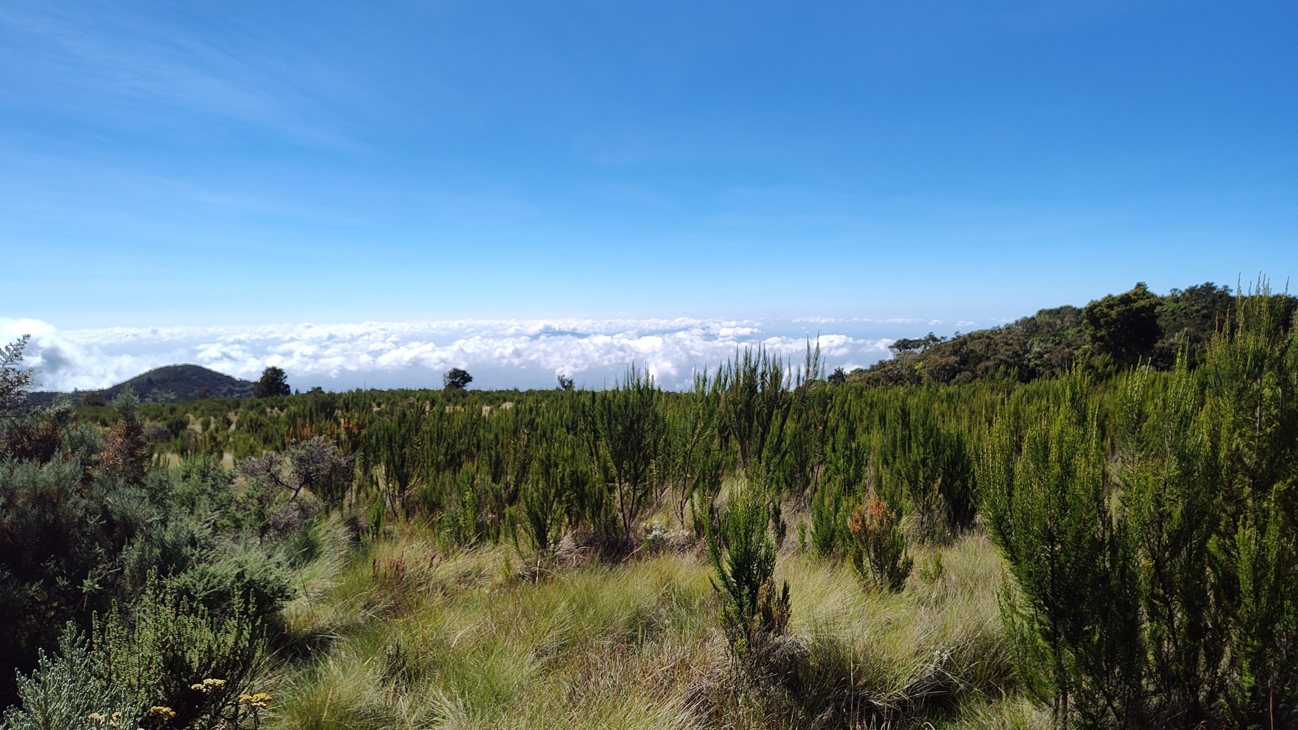 Pejzaž oko Horombo koliba